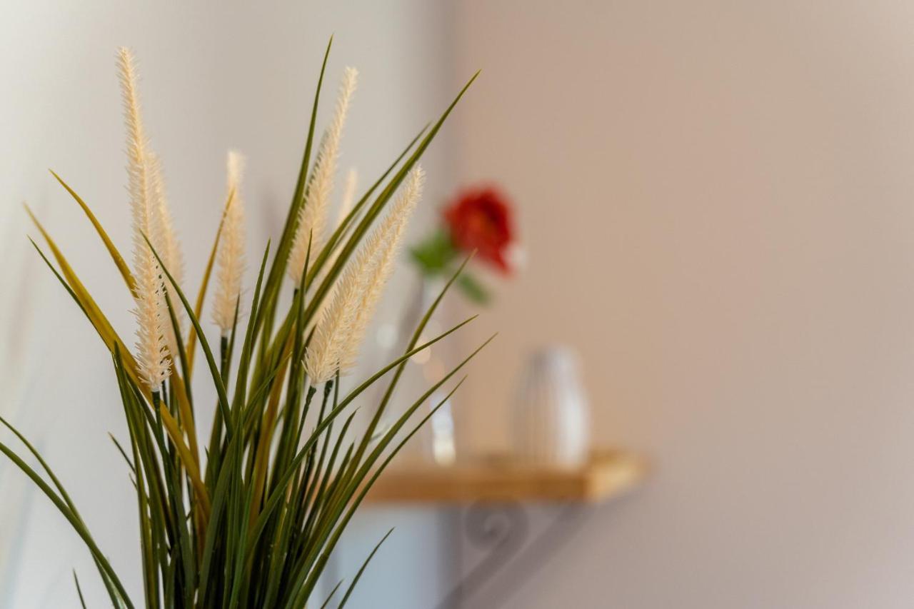 Apartamenty Nad Niwka Bielsko-Biała Extérieur photo