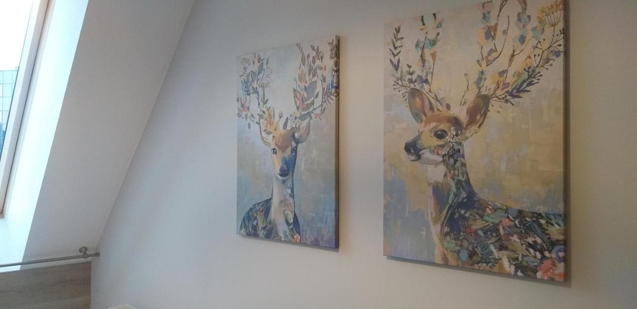 Apartamenty Nad Niwka Bielsko-Biała Extérieur photo